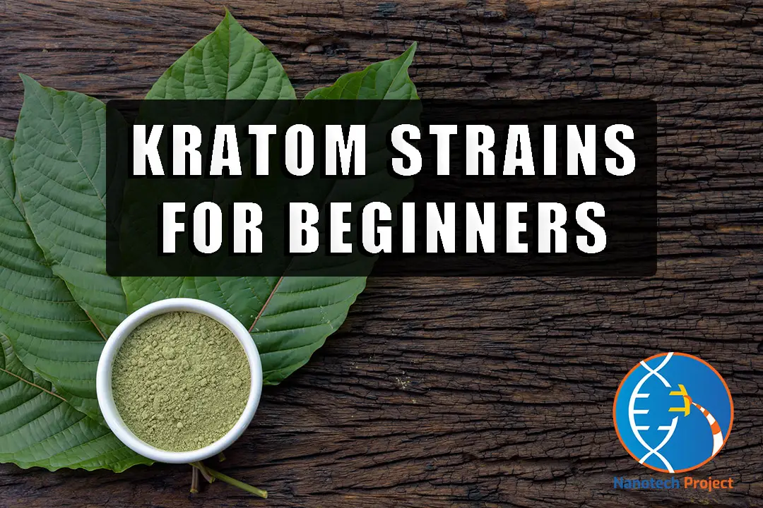 3 Best Kratom Strains: Different Strains & Their Effects