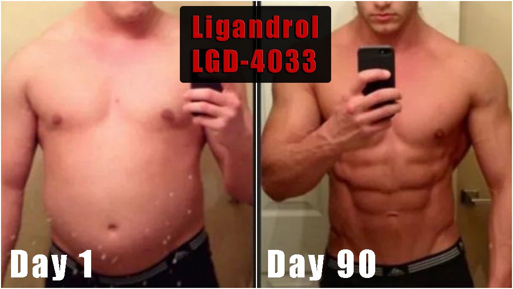 ligandrol before and after results