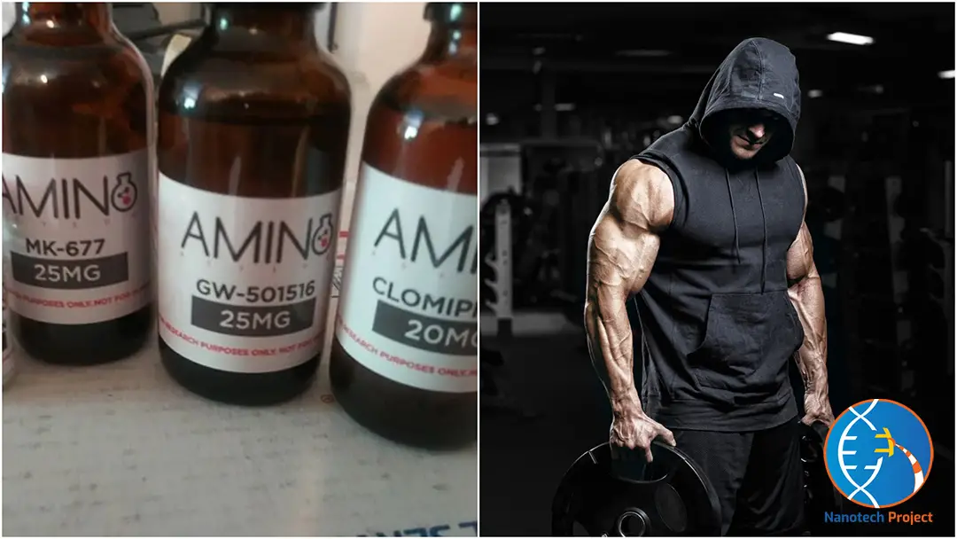 Amino Asylum Review: Still A Legit SARMs Source