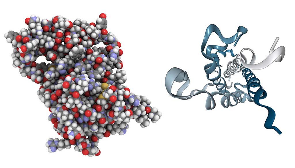 hexarelin molecule how it works