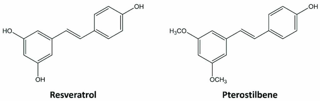 pterostilbene vs resveratrol