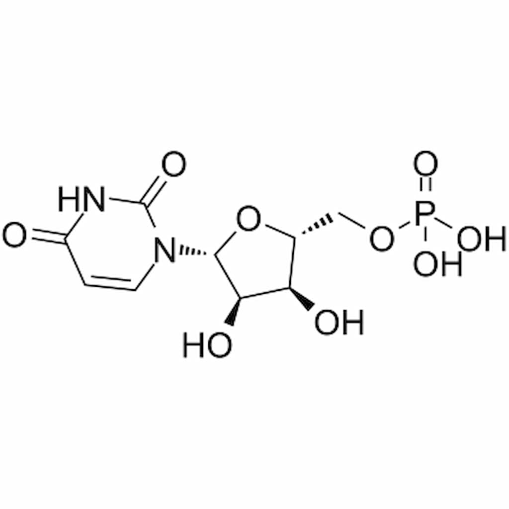 How Does Uridine Monophosphate Work?