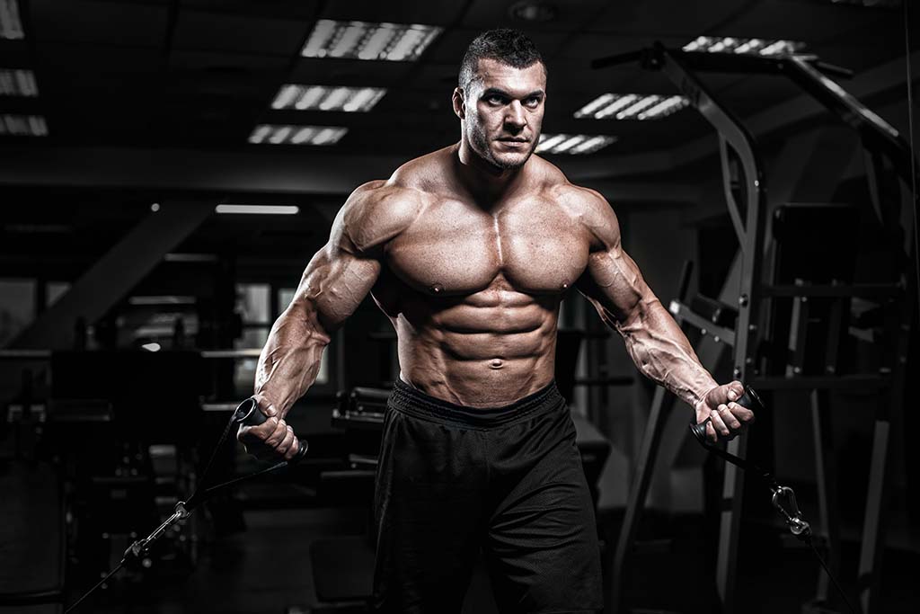 Can Epiandro Help You Build Lean Muscle Mass?