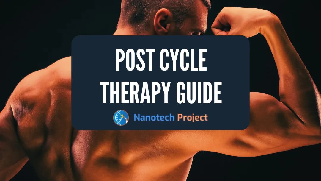 Post Cycle Therapy Guide